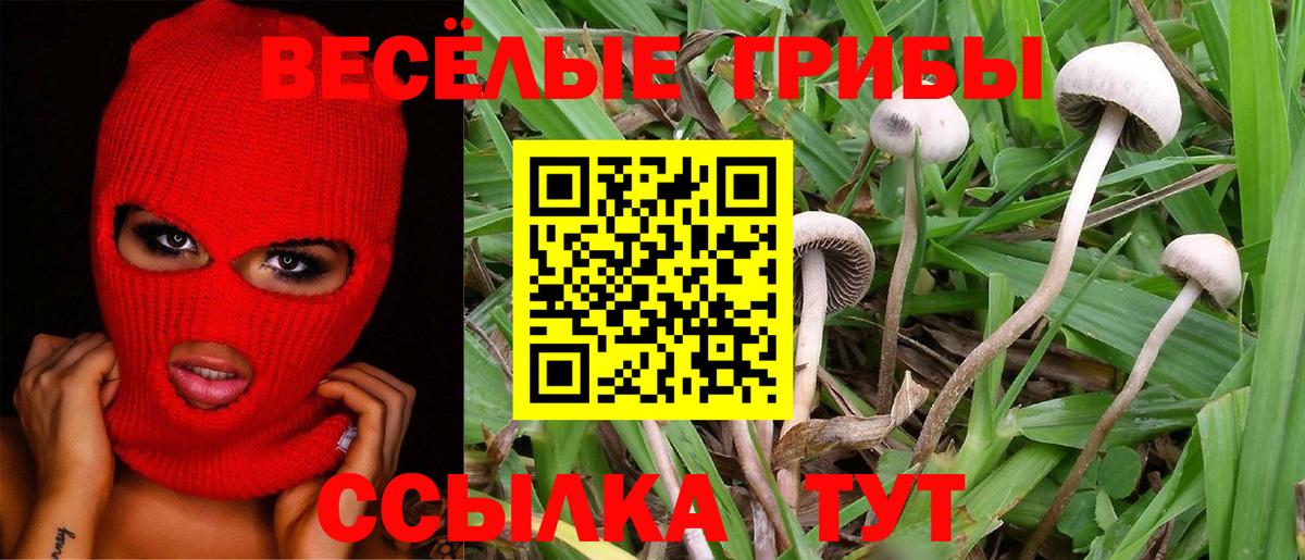 Галлюциногенные грибы мицелий  Псилоцибиновые грибы GOLDEN TEACHER  Сызрань  Вход с VPN 